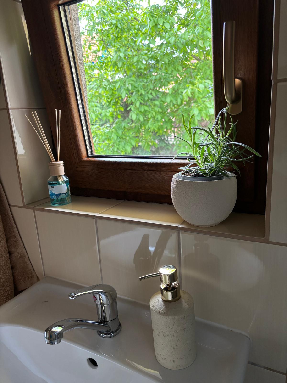 Badezimmer mit Fenster und Blume