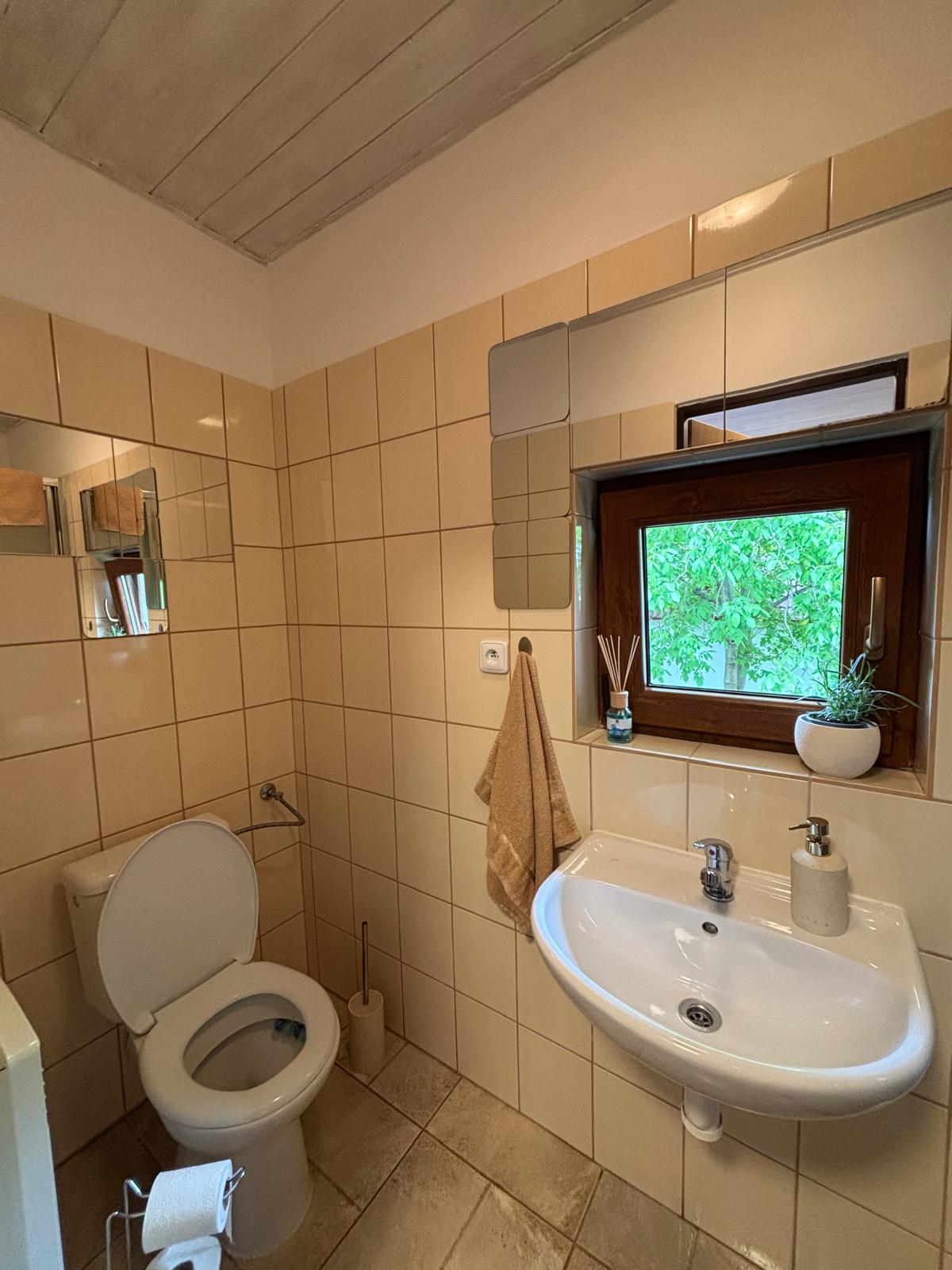 Badezimmer – WC und Waschbecken